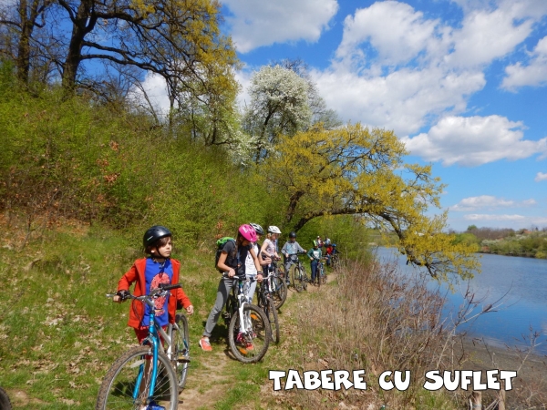 plimbare in parc cu bicicleta