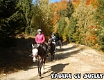 excursie calare