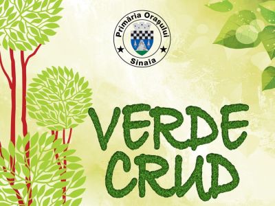 Verde Crud, Sinaia